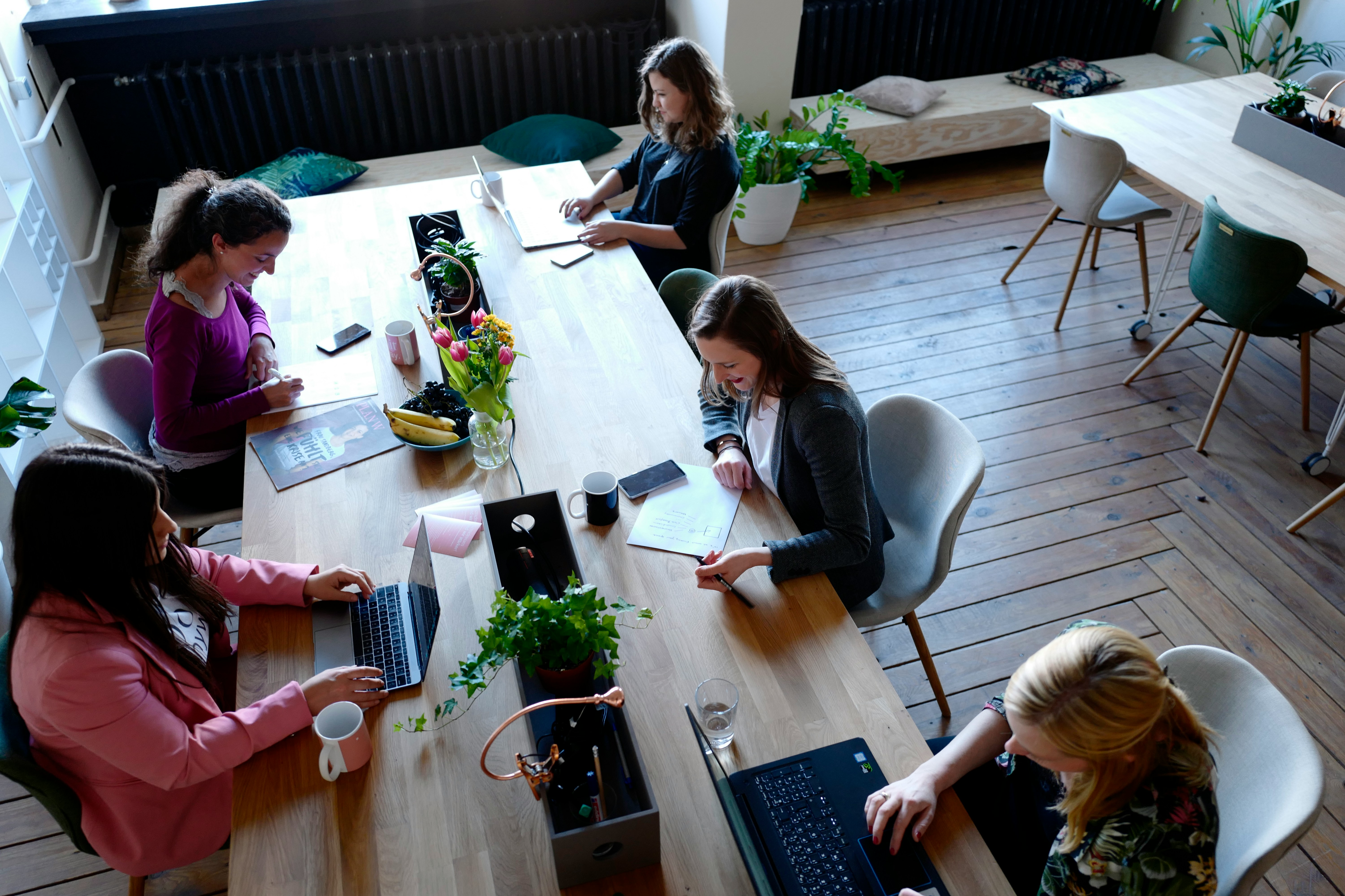 Daytime shared work room: sunlight, laptops, quiet focus with a few people talking softly.